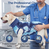 pangdi Recovery Suit for Dogs After Surgery, Spay Suit Female Spay & Male Neuter, Dog Onesie Body Suits for Post-Surgical, Abdominal Wounds and Skin Conditions, Blue, XL