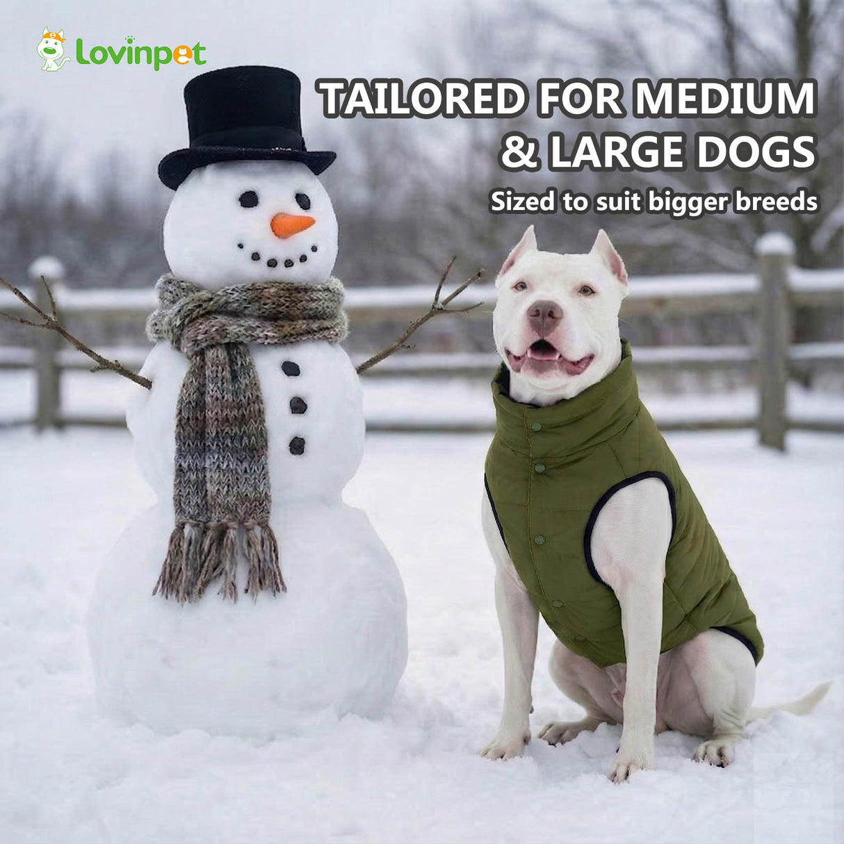 LovinPet Reversible Dog Puffer Coat for Medium & Large Dogs, Down‑Insulated Winter Jacket, Water‑Resistant & Wind‑Resistant, Anti‑Static, Dual-Sided Dark Green & Grey for Cold Weather,2XL