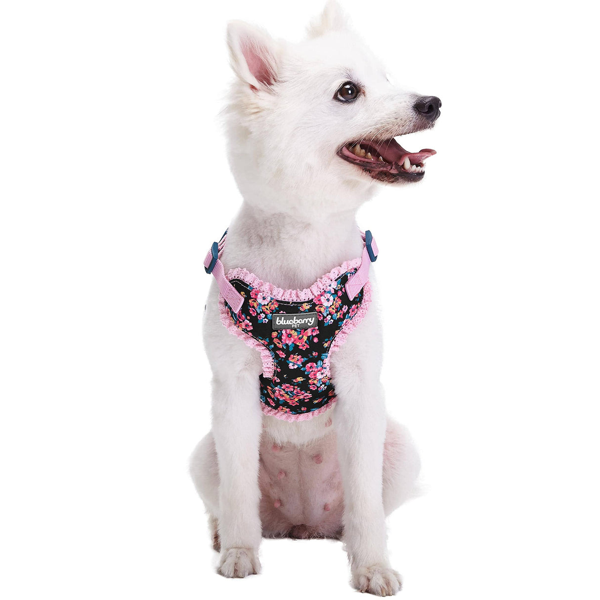 Blueberry Pet Soft & Comfy Made Well Elegant Floral No Pull Mesh Dog Harness Vest in Sleek Black, Chest Girth 17.5"-21", Small, Adjustable Harnesses for Dogs