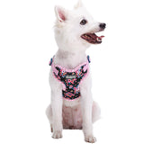 Blueberry Pet Soft & Comfy Made Well Elegant Floral No Pull Mesh Dog Harness Vest in Sleek Black, Chest Girth 17.5"-21", Small, Adjustable Harnesses for Dogs