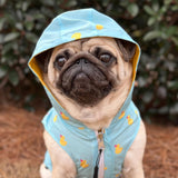 Lucy & Co. Lucky Ducky - Reversible Raincoat for Dogs & Pets - Dog Raincoat - Fashionable and Comfy Water Proof Adjustable Poncho for Canines - Medium - Yellow Blue Rubber Duck