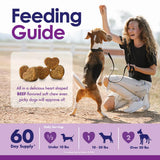 Dog Multivitamin Chewable - 22 in 1 Dog Vitamins and Supplements with Green Lipped Mussel & Omega 3 for Joints, Skin & Coat, Immune System - Senior & Puppy Multivitamin for Dogs - 60 Beef Chews