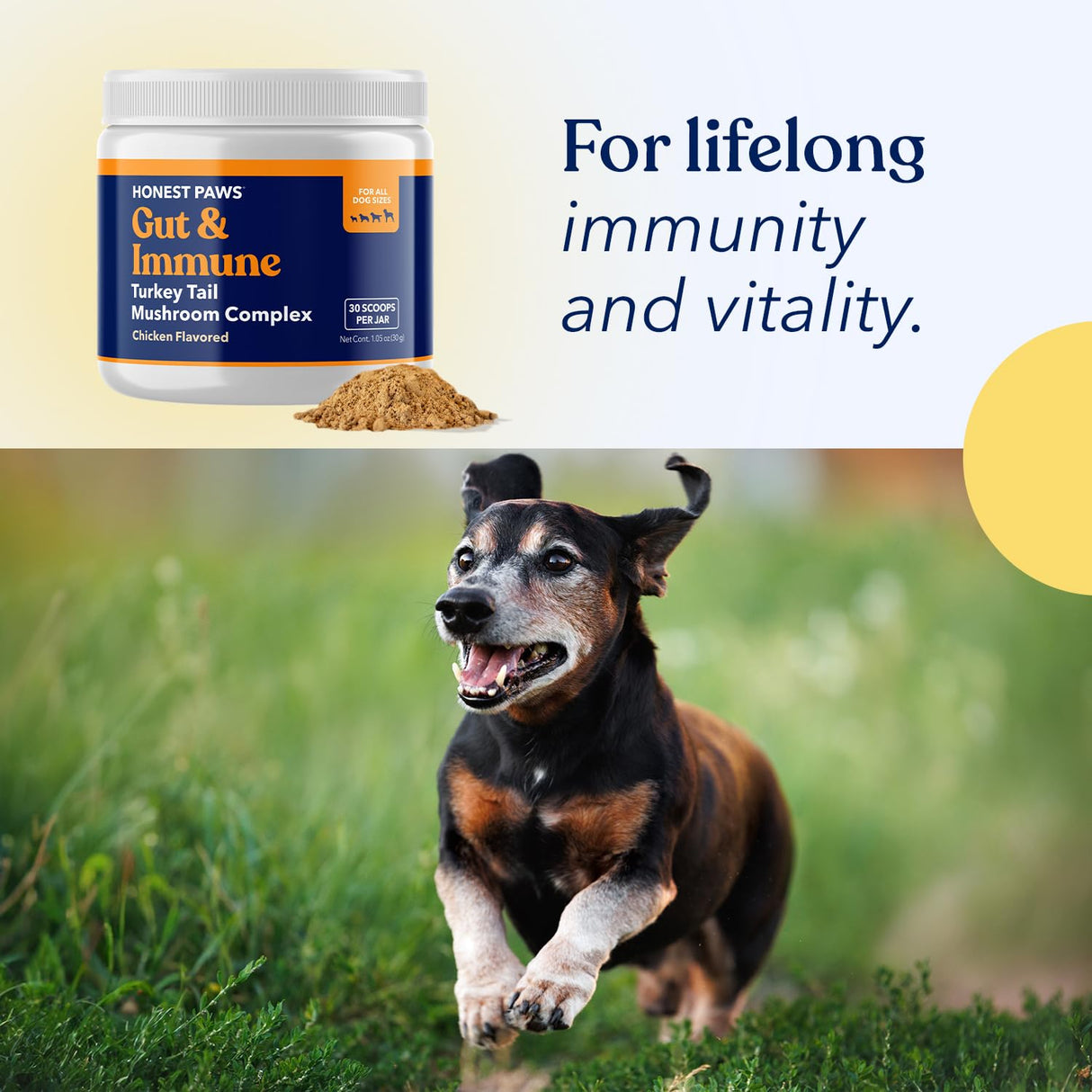 Honest Paws Turkey Tail Mushroom for Dogs - Digestive and Immune Support - Shiitake, Reishi, Maitake Mushroom Supplement Powder for Dogs - No Filler, No Additives - (30 Scoops)