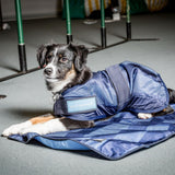 Back on Track Cool on Track Cooling Dog Coat (S2, 40cm / 14-16.5")