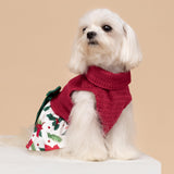 Fitwarm Christmas Poinsettia Flower Dog Turtleneck Dress, Holiday Clothes for Small Dogs Girl, Pet Festive Outfit, Red, White, Small