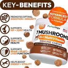 Load image into Gallery viewer, Turkey Tail Mushroom for Dogs - 170 Chews - Lion’s Mane - Shiitake - Reishi - Buddy Immune Support Guard - Mushroom Supplement for Dogs Lumps and Bumps Glucosamine, Health Vitamins Multivitamin
