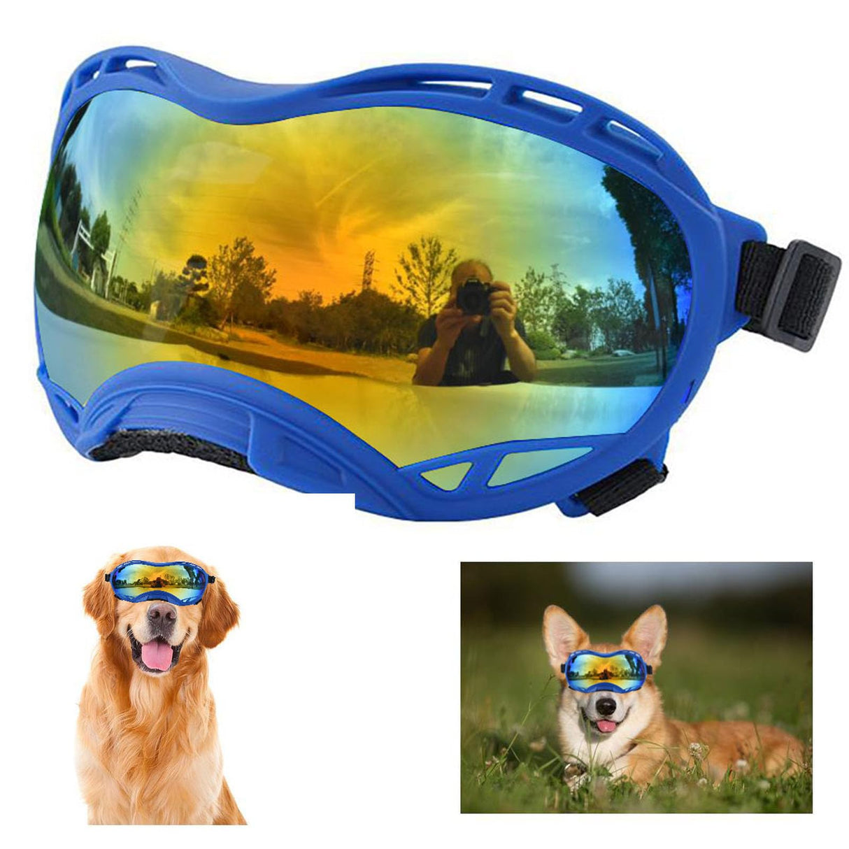 Soft Dog Goggles Anti-UV Sunglasses for Large Breed Dogs, Dustproof Windproof Snowproof, Bule Frame & Colored Lens