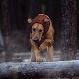 Zoo Snoods Grizzly Bear Costume - Warm Knit Dog Snood Wrap for Pets, Neck Ear Cover Protection, Halloween Winter (Small)