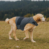 Dog Anxiety Shirt, Jacket Stress Relief Coat, Adjustable Vest for Fireworks, Thunderstorm, Calming Vest Wrap Clothing for Dogs (XL)