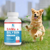 Same and Silybin for Dogs - S-Adenosyl-L-Methionine, Same for Dogs, Liver Supplements for Dogs, Hepatic Supplement for Liver & Brain, Dog Liver Support (Same+Silybin), All Dogs (Under 120 lbs)