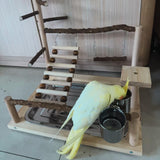 GOVNPJ Bird Playground with Feeder Cups, Wooden Parrot Play Stand for Cockatiel, Parakeet