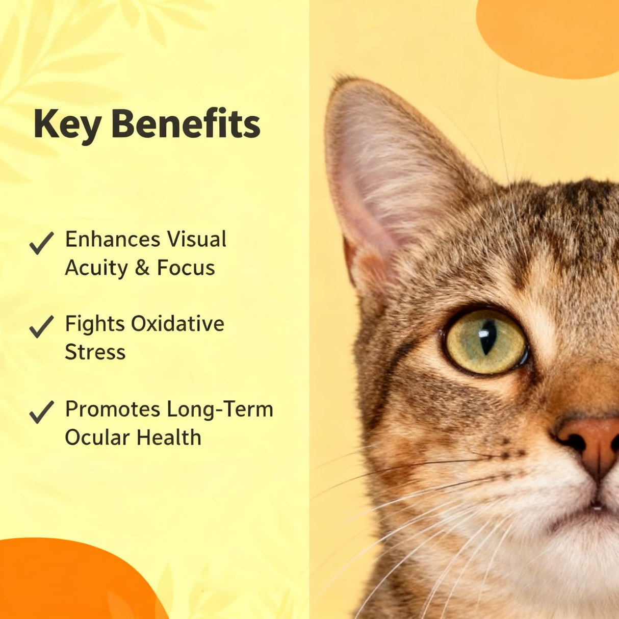 Ricadoo Optikind Vision Drops for Dogs, Optikind Vision Formula, with Lycopene, Zeaxanthin, Astaxanthin, Supports Vision and Overall Eye Health, Reduces Cloudiness, 30ml (1pcs)