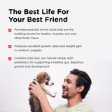 Nutri-Vet Milk Replacer For Puppies, Powdered Milk, Newborn Puppy Feeding, Dog Essentials, Dog Care, Veterinarian Recommended Dog Essentials, Whelping Supplies, Food Replacer, 12oz