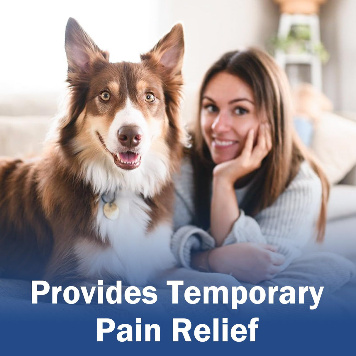 Carpromax for Large Dogs Pain Relief, Joint Support for Senior Dogs - 100mg - 90 Tablet