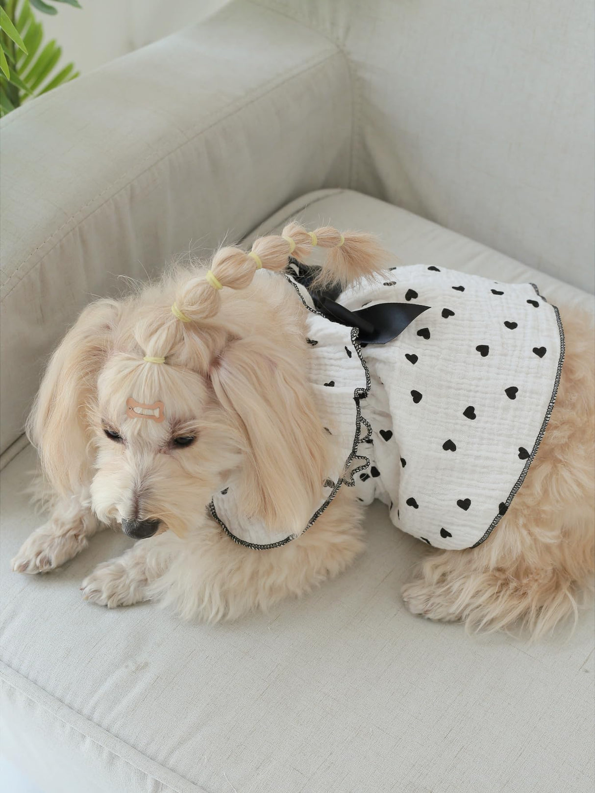 QWINEE 2pc Cute Heart Pattern Dog Dress Ruffle Trim Princess Dress Cat Vest Dress Lace Trim Summer Dress Pet Clothes for Small Medium Cats Dogs Kitten Puppy Black Multi Medium