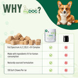 My Dog Sanctuary 14 in 1- Multivitamin for Dogs 120 Chews - Daily Support for Active & Aging Dogs Supplies/Vitamin A, D3, E, C, and B-Complex for Joint, Skin, Coat, Immune - Dog Multivitamin, Bacon