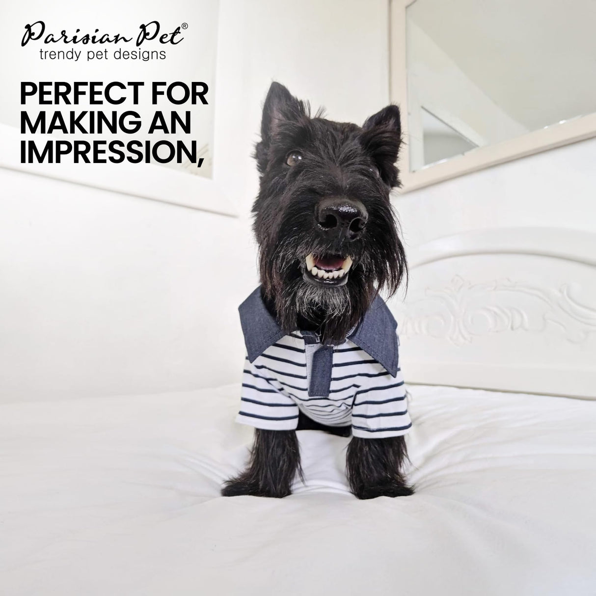 Parisian Pet Preppy Boy Polo Dog Shirt – Classic Cotton Pet Apparel with Collar - Soft Breathable Puppy T-Shirt - Cute Trendy Dog Clothes - Ideal Summer Clothes for Small Dogs - Shirts for Dogs Boy