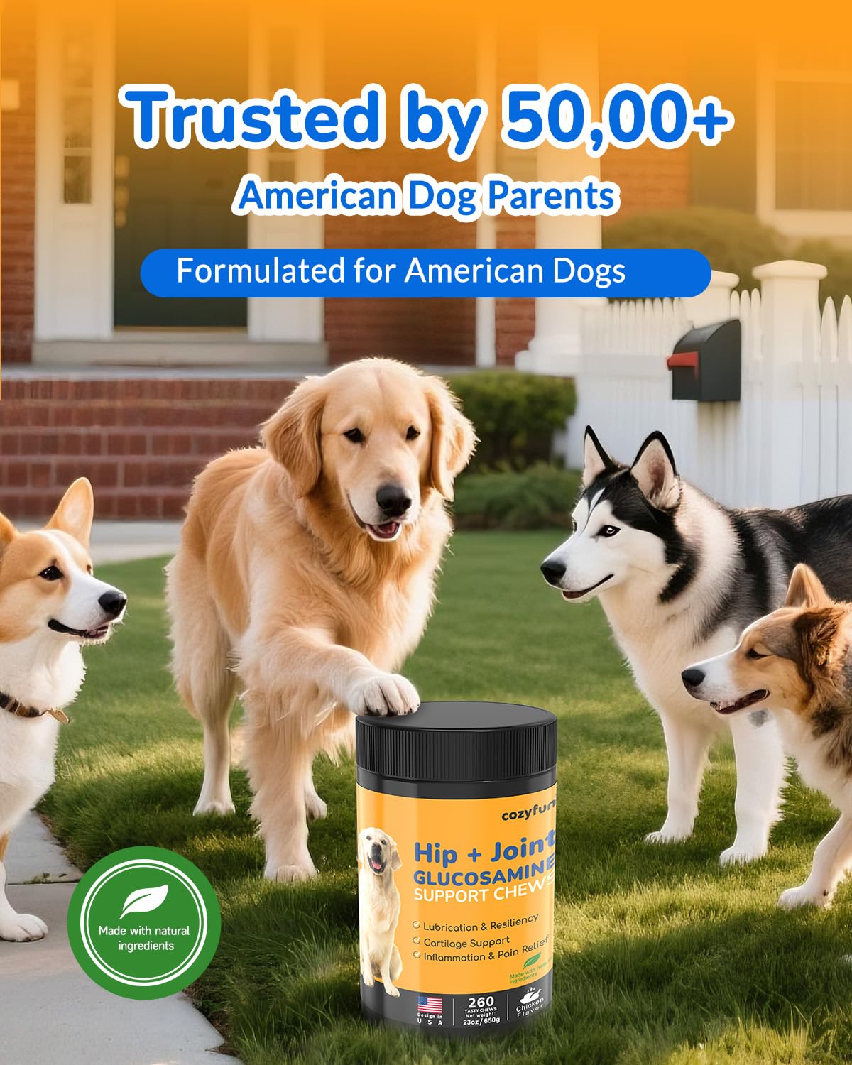Glucosamine for Dogs 260Ct Chews - 23oz Hip and Joint Supplement Chews for Dogs, Chondroitin Joint Supplement for Dog Joint, USA Lab Formula with Probiotics, Natural Support for Dogs