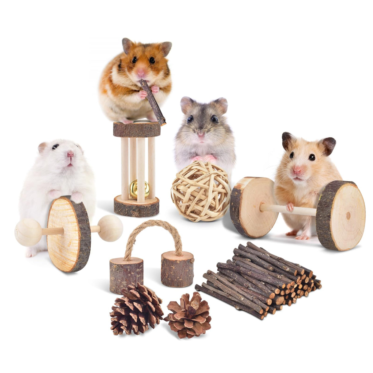 ERKOON 11 Pack Chinchillas Chew Toys, Toys Accessories for Teeth Care, Natural Apple Wood Ladder Bell Roller for Russian Hamster Gerbils Rats Guinea Pigs (11PCS)