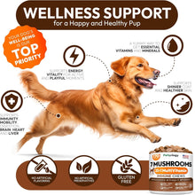 Load image into Gallery viewer, Turkey Tail Mushroom for Dogs - 170 Chews - Lion’s Mane - Shiitake - Reishi - Buddy Immune Support Guard - Mushroom Supplement for Dogs Lumps and Bumps Glucosamine, Health Vitamins Multivitamin
