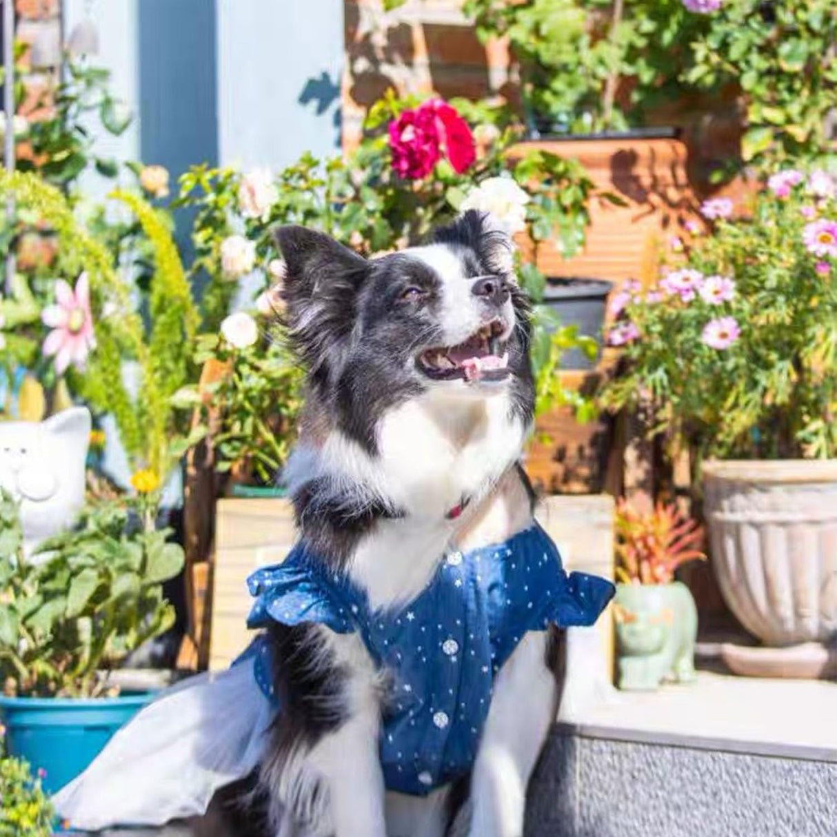 Polka Dot Big Large Dog Princess Dress Tutu Skirt Golden Retriever Pitbull Summer Dog Clothes Hoodie Costume (XL, Blue)