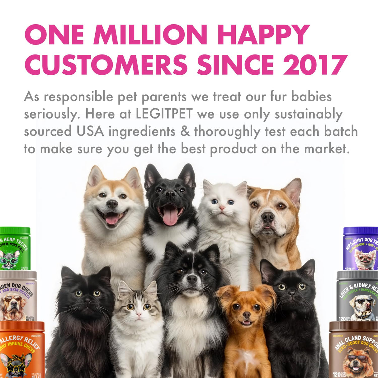 Wild Alaskan Salmon Oil for Dogs & Cats - Pure Fish Omega 3 6 9 Liquid EPA DHA Fatty Acids - Skin & Coat Supplement - Supports Joint Function, Brain, Eye, Immune & Heart Health - Made in USA 32 oz