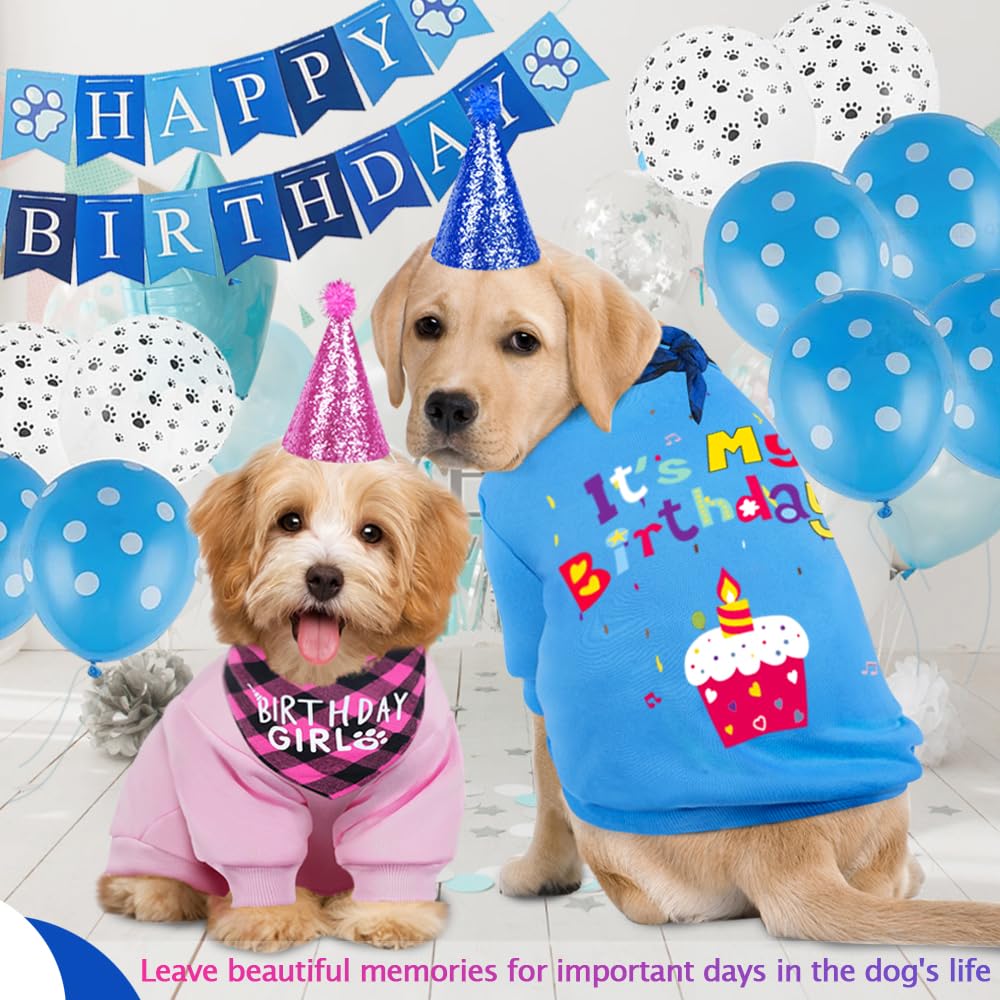 GreenJoy Dog Birthday Party Outfit Decoration Set Supplies - Birthday Bandana, Sweater & Party Hat Gift for Small, Medium & Extra Large Dogs Girl and Boy (Small, Birthday Blue)