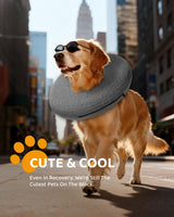 MIDOG Inflatable Dog Cone Collar – Soft Dog Cone Alternative After Surgery, Comfortable Recovery Neck Donut ECollar for Small Medium & Large Dogs and Cats to Stop Licking & Vision-Friendly (Grey,S)