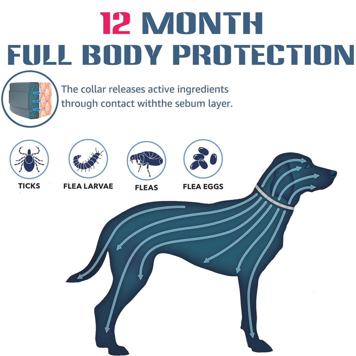 Flea and Tick Collar for Puppies - 12-Month Natural Protection - Safe & Effective Flea and Tick Prevention - Includes Flea Comb and Tweezers, 2-Pack