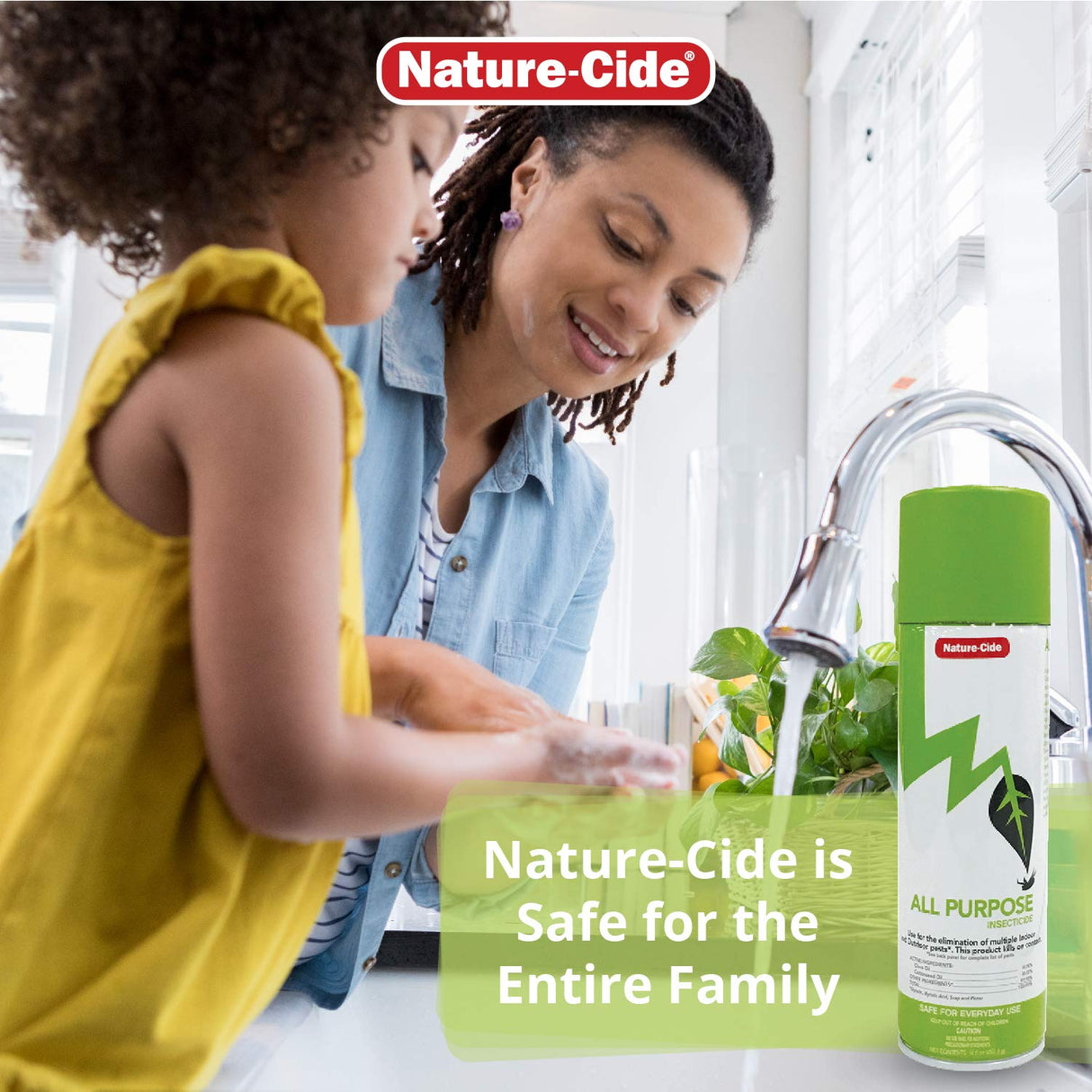 Nature-Cide Aerosol Can. All Natural Roach Killer, Spider, Mosquito and Ant Spray to Keep Your Home Safe. Kills on Contact. No Strong Odor.
