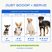 Load image into Gallery viewer, Native Pet Dog Vitamins &amp; Supplements - 11-in-1 Multivitamin Powder for Dogs Food Topper - Collagen, Glucosamine, Probiotics, Omega &amp; More- Supports Healthy Gut, Mobility &amp; Overall Health -90 Scoops
