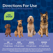 Load image into Gallery viewer, NaturVet – Stool Ease for Dogs – 40 Soft Chews – Helps Maintain Regular Bowel Movements – Enhanced with Sugar Beet Pulp, Flaxseed &amp; Psyllium Husk – 40 Day Supply
