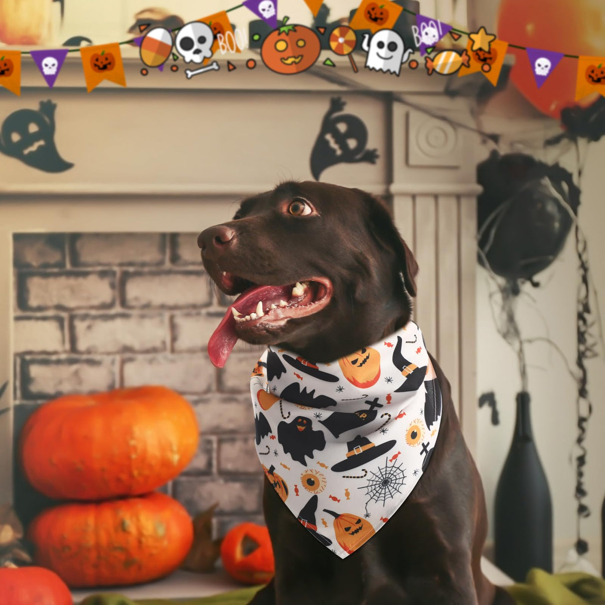 Huhumy 100 Pcs Halloween Dog Bandanas Bulk Pumpkin Ghost Bat Dog Scarf Triangle Pet Neckerchief Bibs Adjustable Washable Pumpkin Puppy Costume Accessories for Grooming Supplies Small to Large Dogs Cat