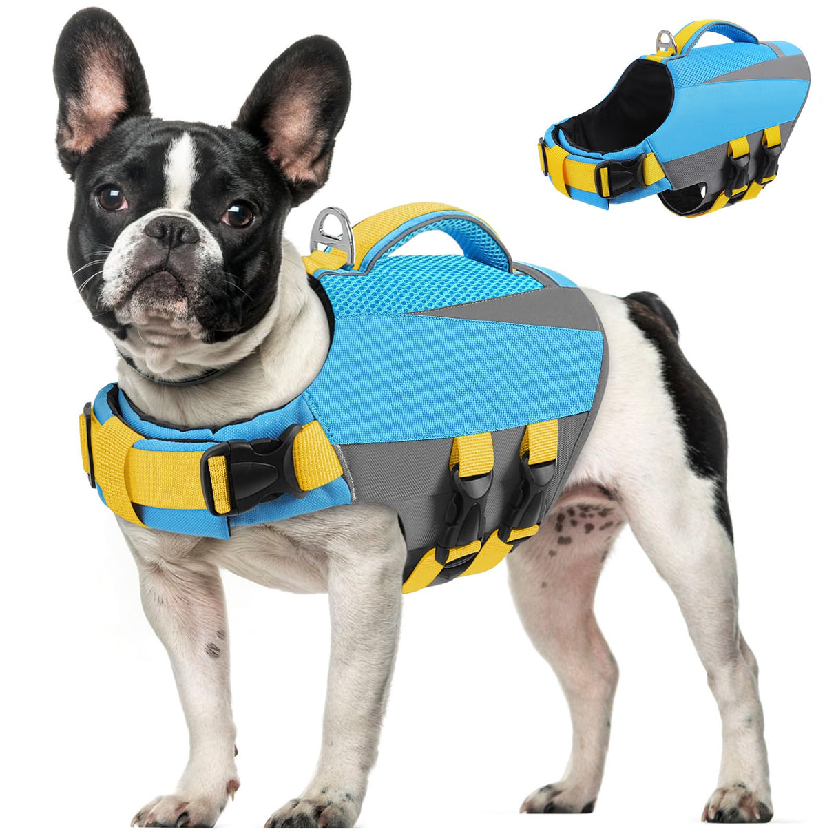 Queenmore XS Dog Life Jacket, Reflective Puppy Lifejacket Dog Life Vest for Swimming Boating, Lightweight Dogs Swim Vest with Superior Buoyancy and Rescue Handle, Blue, XS