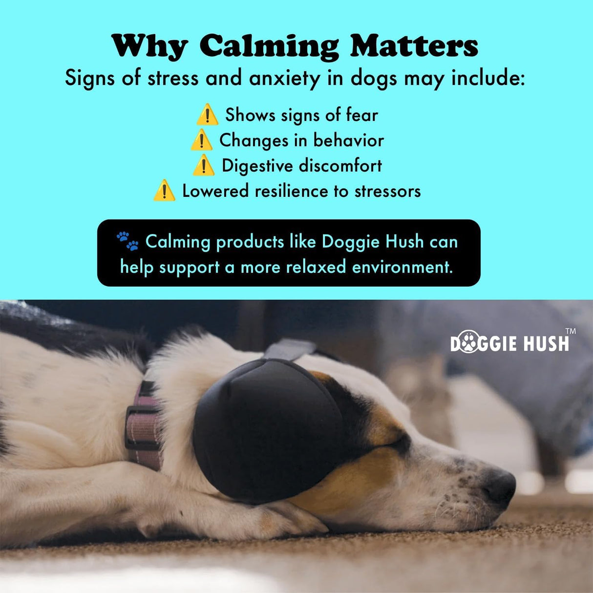 DOGGIE HUSH® Pro - Advanced Ear Protection for Dogs, Noise cancelling, designed for sound-sensitive dogs that need extra comfort and quiet (Small)