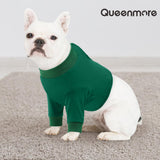 Queenmore Dog Recovery Suit for Front Legs, Adjustable Dog Leg Sleeves to Stop Licking, Breathable Recovery Sleeve for Large Breeds, Wound Care for Pets, Green, L