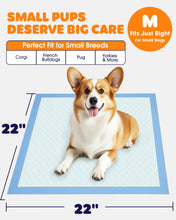 Load image into Gallery viewer, Powools Puppy Pads - Super Absorbent &amp; Spill-Proof Pee Pads for Dogs with 6-Layer Material, Quick-Dry &amp; Hassle-Free Potty Pads for Floors, Furniture, Vehicle, 22" × 22", 100 Packs
