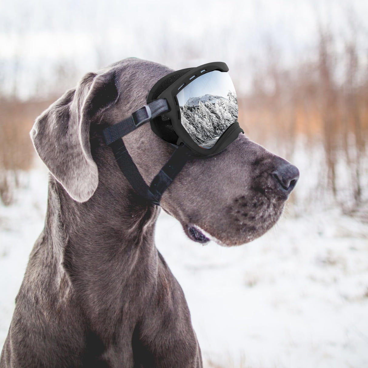 Flantor Dog Goggles for Large Dogs, UV Wind Dust Fog Protection, Soft Frame Adjustable Dog Sunglasses, Summer Driving & Winter Snow Eyewear, Tactical Pet Glasses with Elastic Strap (Black)