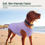 Kuoser 2 Pack Dog Shirts UPF 50+ UV Sun Protection, Lightweight Quick Dry Dog T Shirts for Small Medium Large Dogs, Breathable Pet Vest Dogs Tshirt Pet Clothes for Indoor Outdoor, Purple & Yellow S