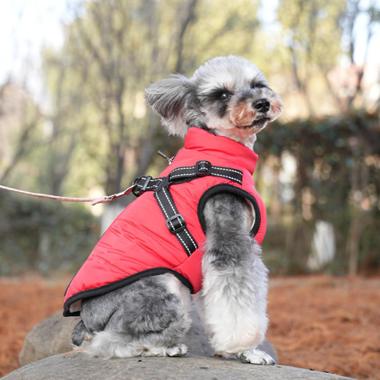 Furry King Dog Winter Coat, 3 in 1 Winter Jacket for Dogs, Furry Dog Jacket with Harness, Waterproof Windproof Dogs Snow jacketwith Zipper(Blue,5XL)