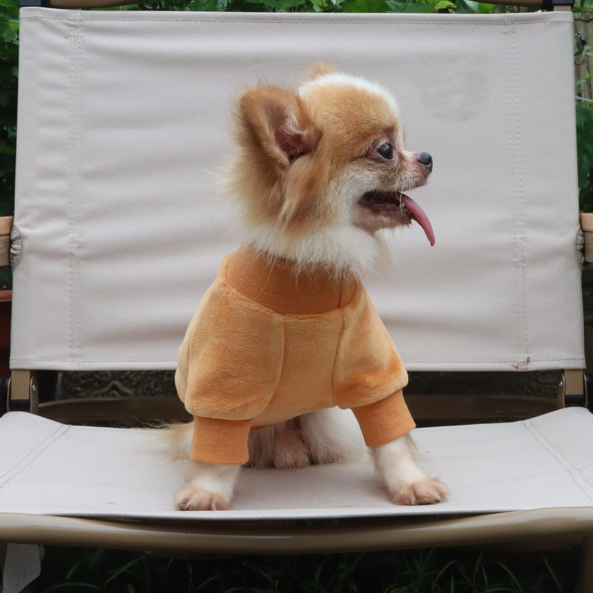 LOPHIPETS Small Dog Sweatshirt - Lightweight Cold Weather Coat - Fits 4.5-6.5 lbs - Adult Chis, Poms, Maltese - Camel Medium
