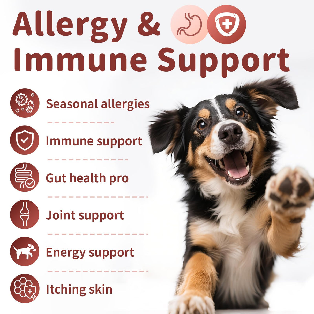 POPPAW Dog Allergy Chews, Probiotics for Dog Allergy Relief - Itchy Skin and Itchy Ears - Allergy Paw Relief - Seasonal Allergies & Immune Gut Health & Joint, Energy Support, Bacon Flavor - 90 Count