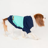 Fitwarm Color Block Dog Hoodie, Doggy Winter Clothes for Small Dogs Boy, Dog Sweatshirt with Hood, Lightweight Pet Hoodie, Royal Blue, Light Blue, Large