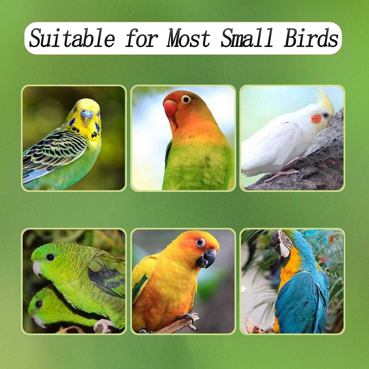 No Mess Bird Feeder for Cage, Automatic Acrylic Bird Feeder Seed Catcher Tray Cage with Stainless Steel Hooks for Small Parrots Canary Parakeet Budgerigar Crested Cockatiel Lovebird (Small)