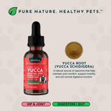 Animal Essentials Yucca - Hip and Joint Yucca Root Supplement for Dogs & Cats, Liquid Herbal Care Drops for Senior Dogs & Older Pets, Bowel & Immune Support, Antioxidant Boost - 1 fl oz