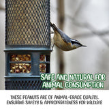 Premium Quality Raw Peanuts in Shell - 5 Pounds – All-Natural Food for Squirrels, Deer, Birds, and Other Wildlife Animals – Grown in The USA for Healthy Nutrition
