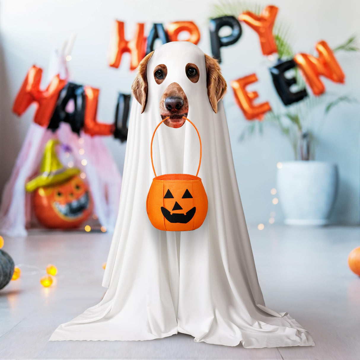 Huhumy 2 Pcs Halloween Dog Costumes with Non Woven Pumpkin Bags White Ghost Costume for Dog Cat Ghost Cosplay Clothes, Cute Party Cape for Halloween Cosplay Party(Puppy)