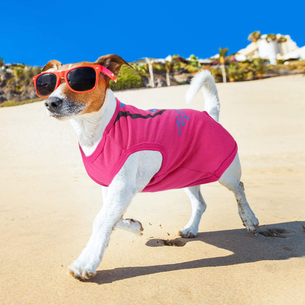 9 Pieces Printed Pet Shirts Cute Dog T Shirts Summer Puppy T Shirt Soft Breathable Pet Sweatshirt for Small Medium Dogs Puppy Cats(Watermelon Pattern,M)