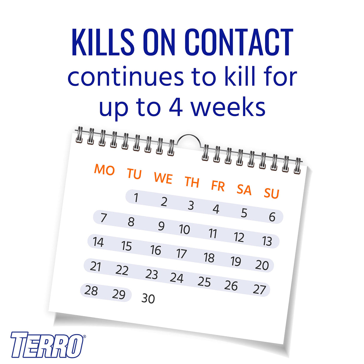 TERRO T1901SR Ready to Use Indoor and Outdoor Carpenter Ant, Termite, and Carpenter Bee Killer Aerosole Spray - 2 Pack 32 Total Ounces