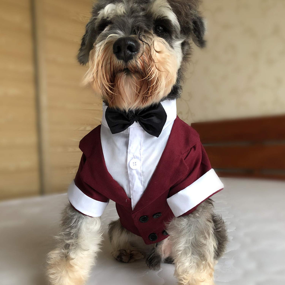 Lovelonglong Pet Costume Dog Suit Formal Tuxedo with Black Bow Tie for Large Medium Small Dogs Cat Wedding Clothes Reddish Brown L